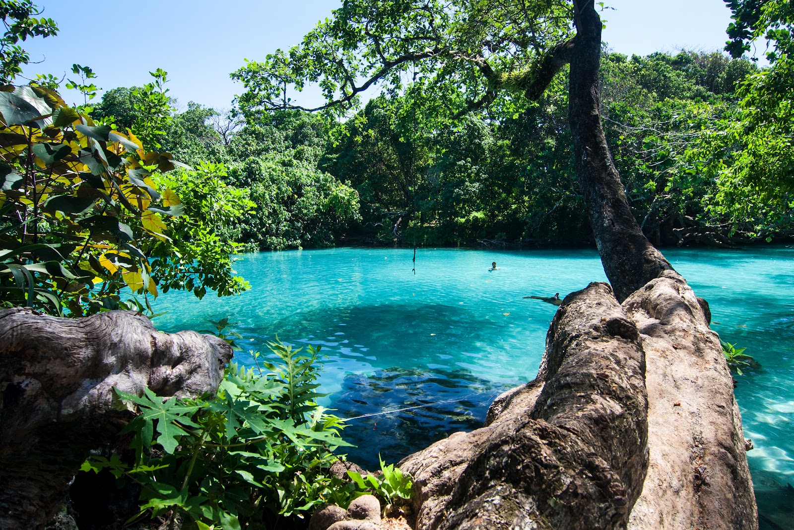 Escape to Paradise in Jamaica - Vagabond Summer